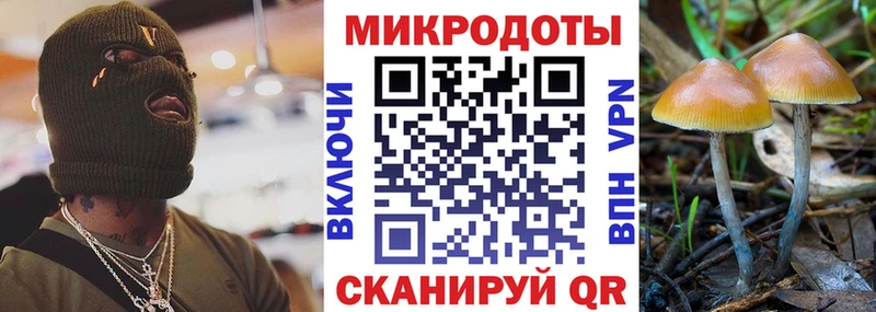 Псилоцибиновые грибы Psilocybine cubensis  купить наркотики сайты  Балашов 