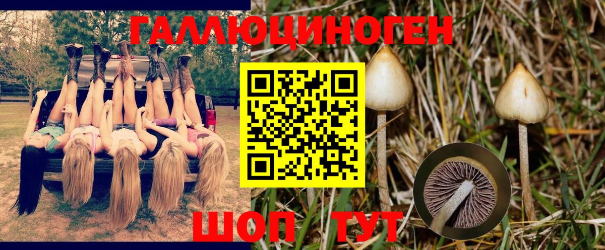 Балашов  Галлюциногенные грибы MAGIC MUSHROOMS  наркошоп  Вход с VPN 