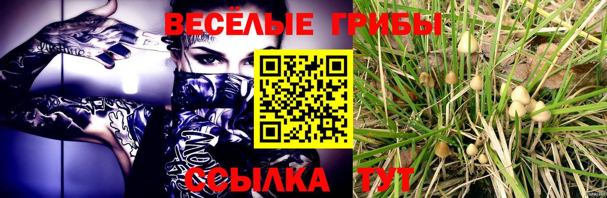Псилоцибиновые грибы ЛСД Балашов