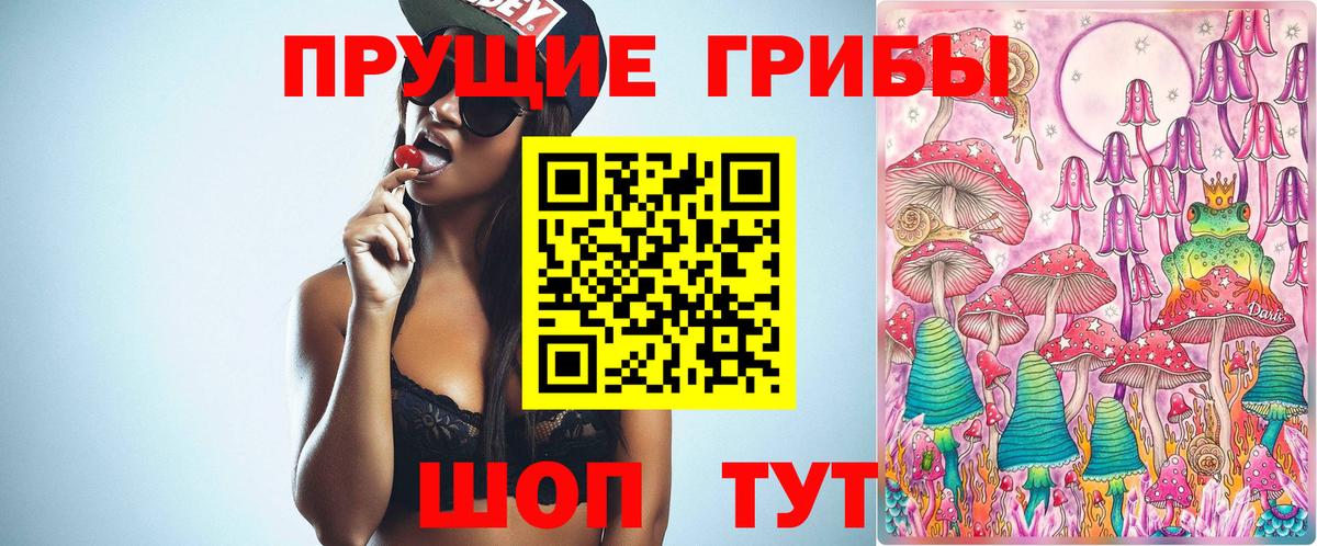 Галлюциногенные грибы прущие грибы  Балашов 