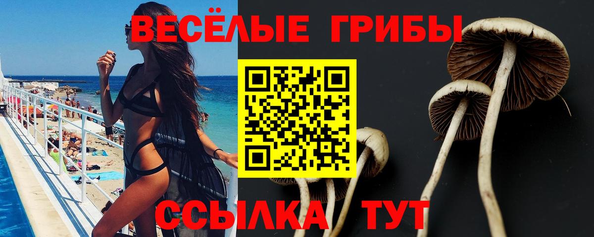 Псилоцибиновые грибы ЛСД Балашов