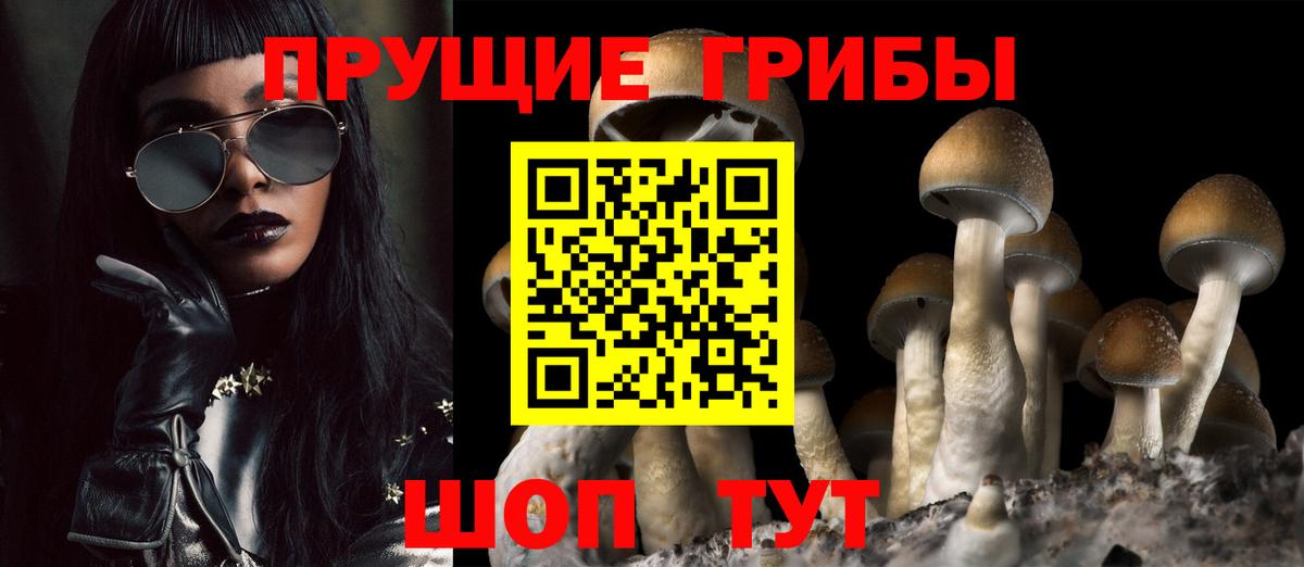 ГАШИШ Балашов