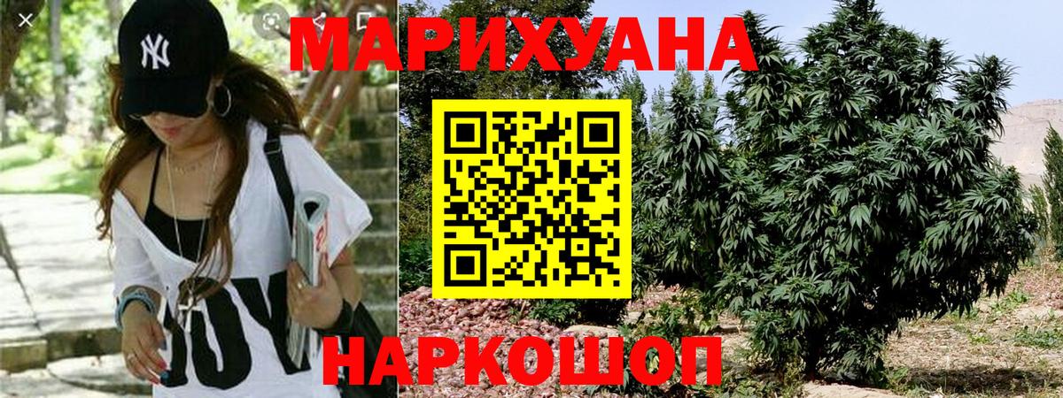 Канабис гибрид  Каннабис конопля  Шишки марихуана план  Балашов  Шишки марихуана план 