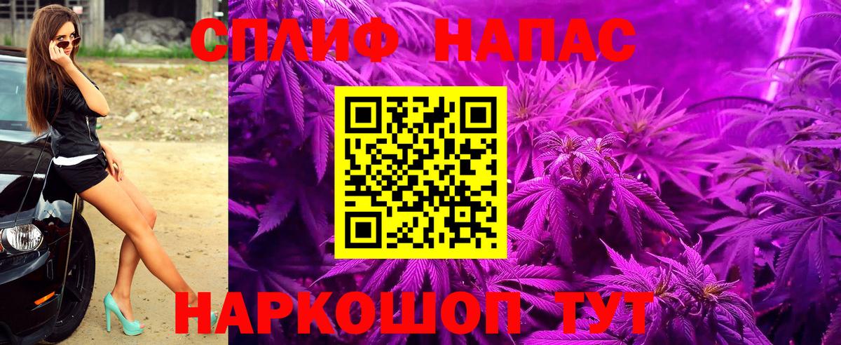 Каннабис сатива Балашов